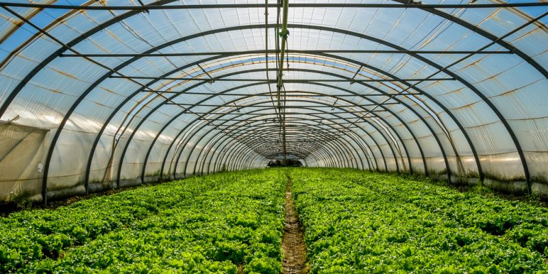Les Assurances Agricoles / Assurance Multirisques Serres
